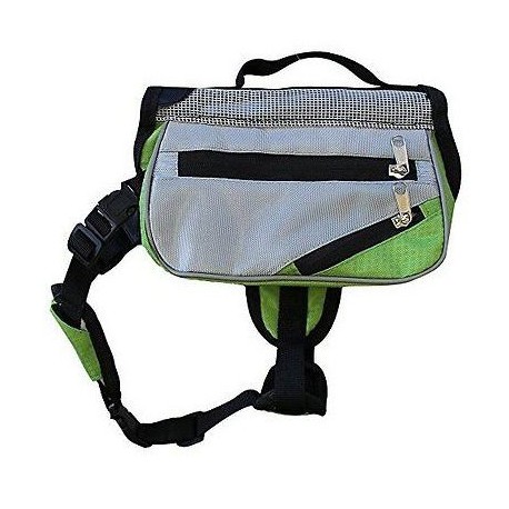 Alcott Explorer Adventure Backpack Verde